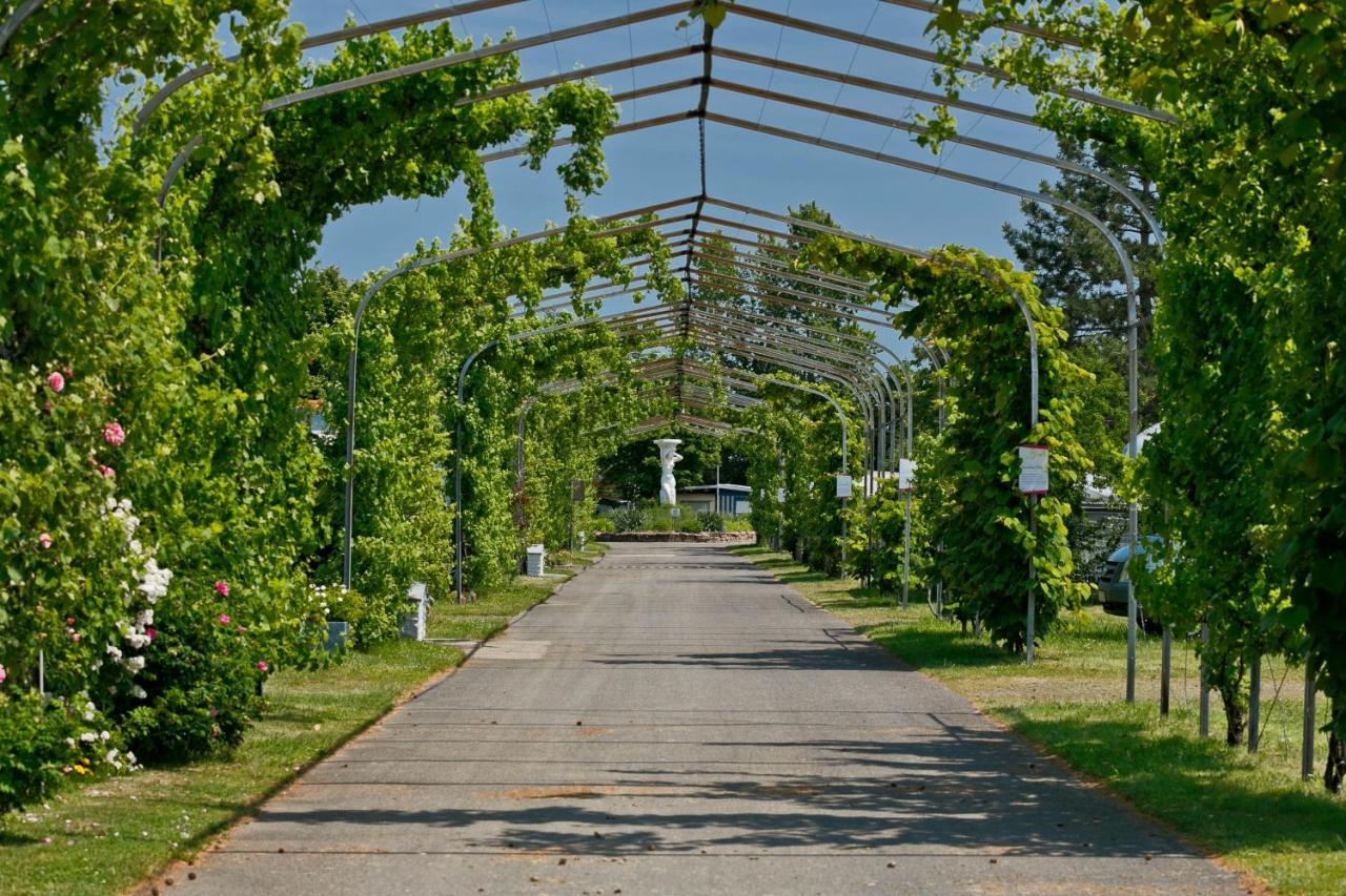 Knaus Campingpark Bad Dürkheim Buitenkant foto